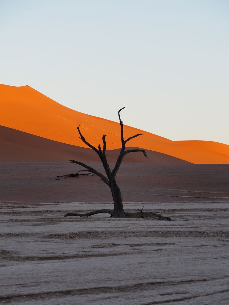 Photograph by Павел Сазанов