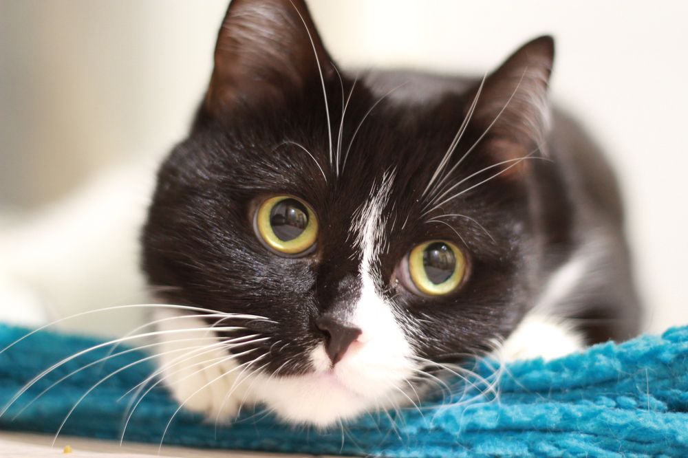 Photograph by Anton Hantov