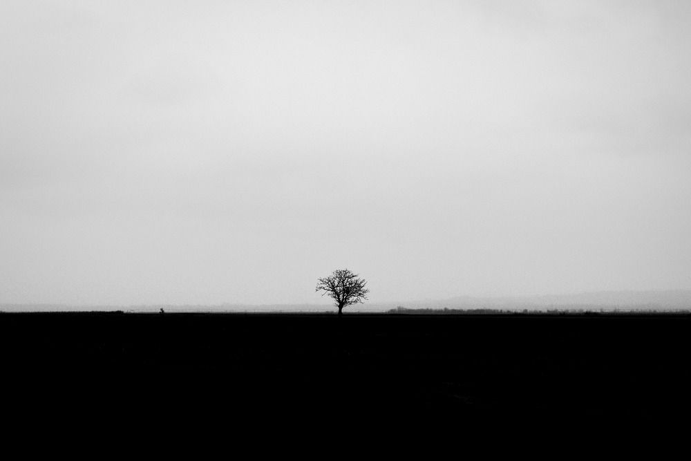 Photograph by Omer Gojak