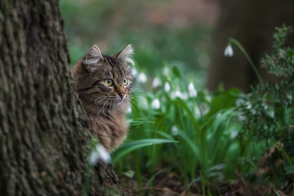 Photograph by Дмитренко Екатерина