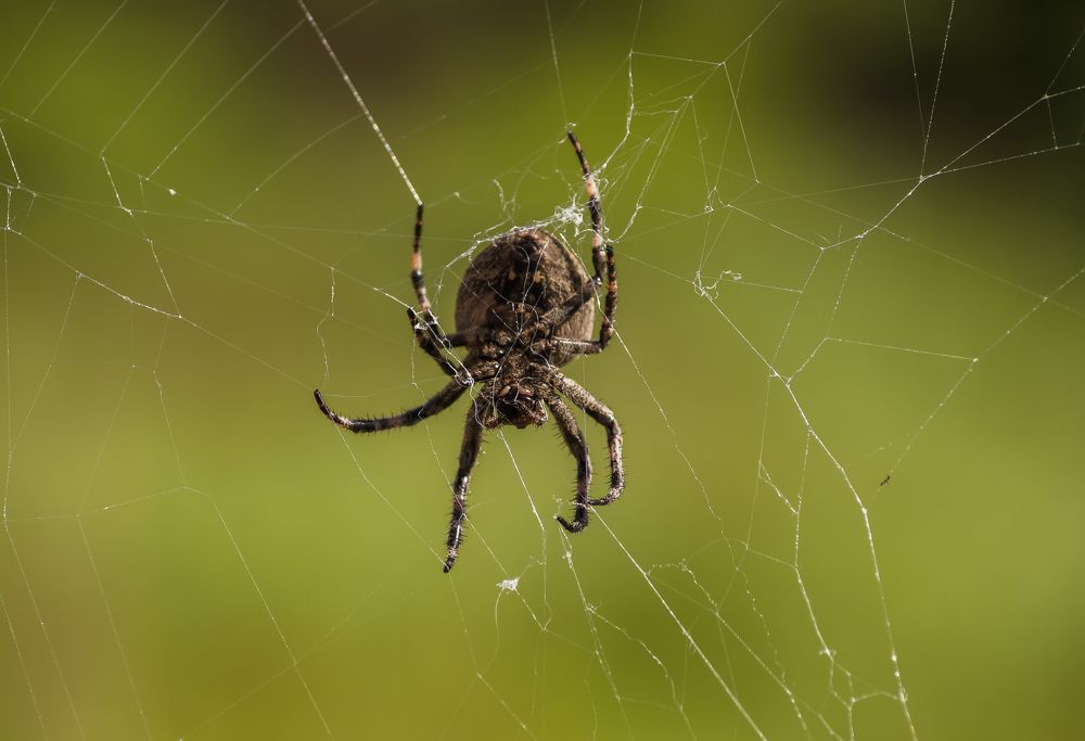 Photograph by Виктор Сёмушкин