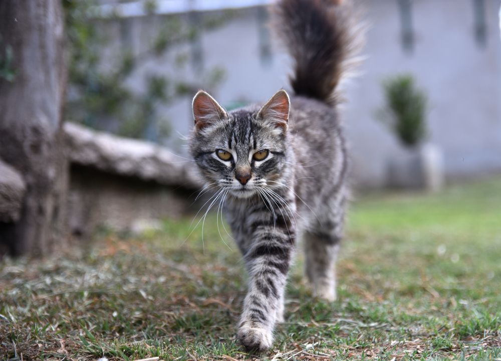 Photograph by Beatriz Games