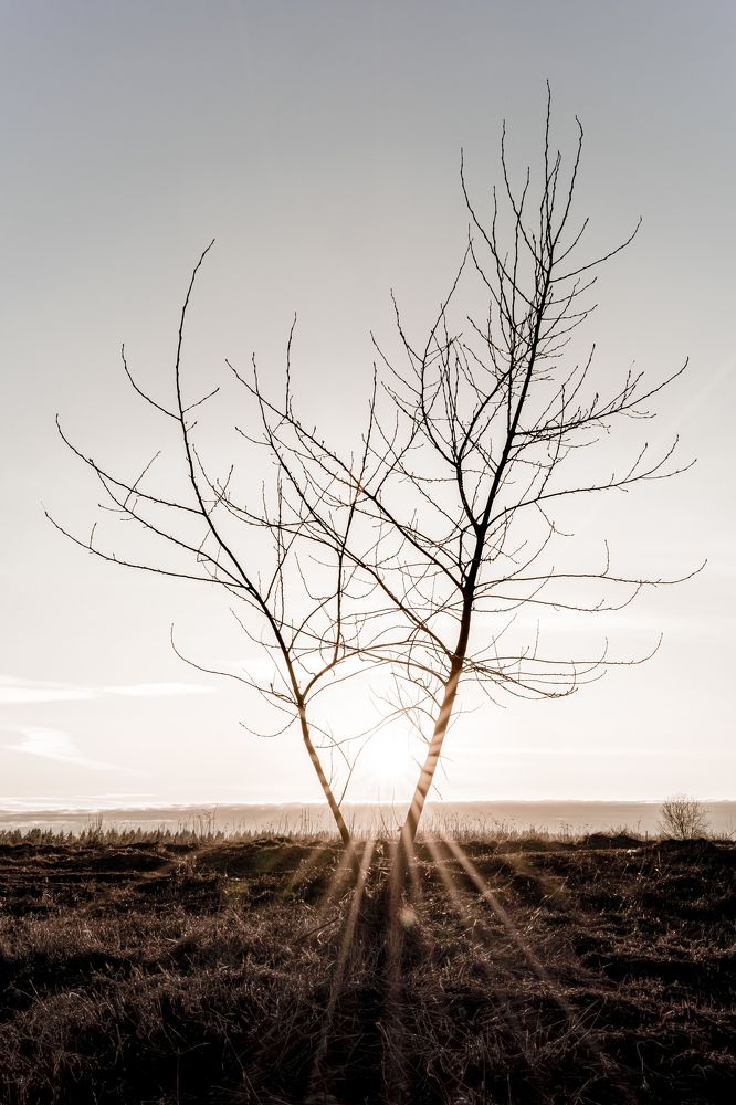 Photograph by Глеб Обуховский