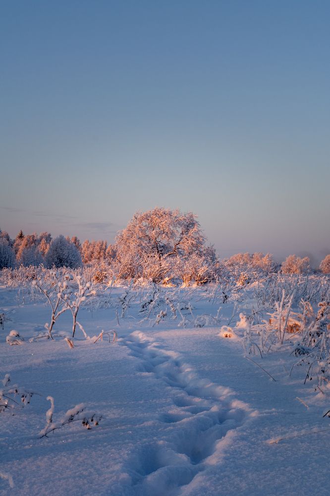Photograph by Глеб Обуховский