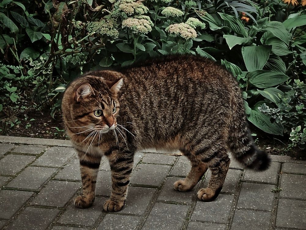 Photograph by Дина Полухина