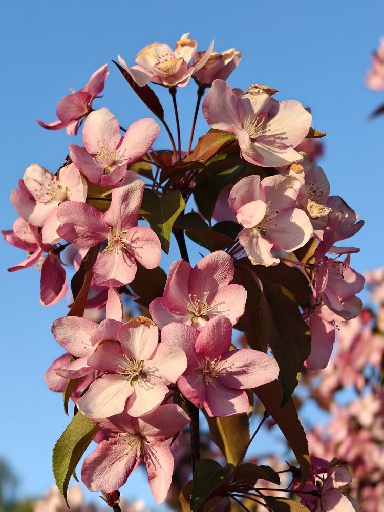 Photograph by Максим