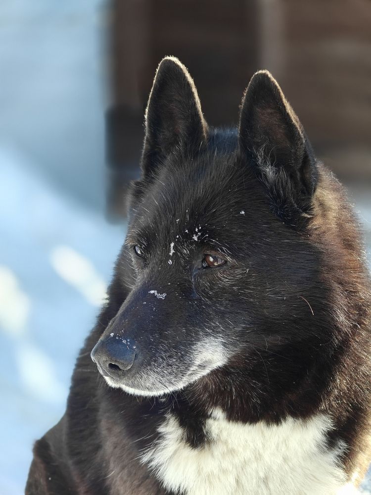 Photograph by Максим