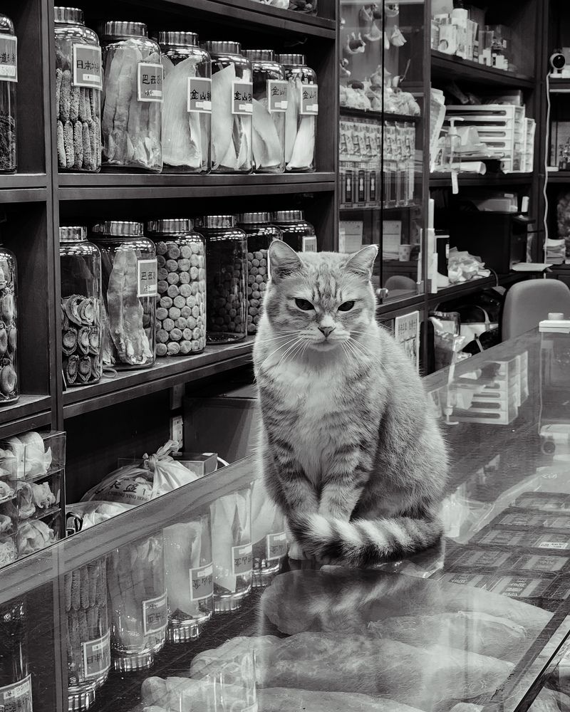 Photograph by Юлия Козина