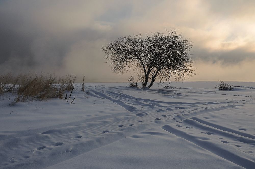 Photograph by Александр Попов