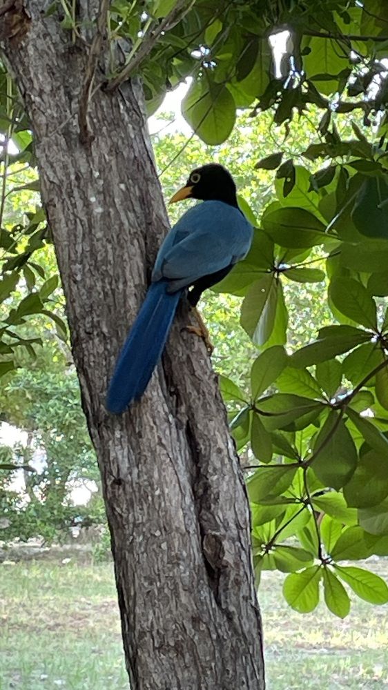 Photograph by Barbara