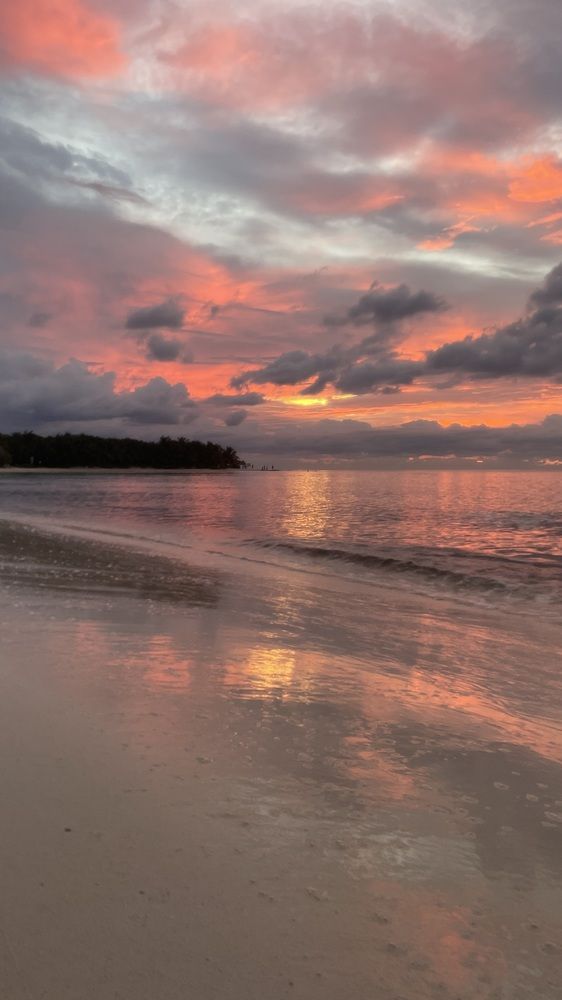 Photograph by Barbara