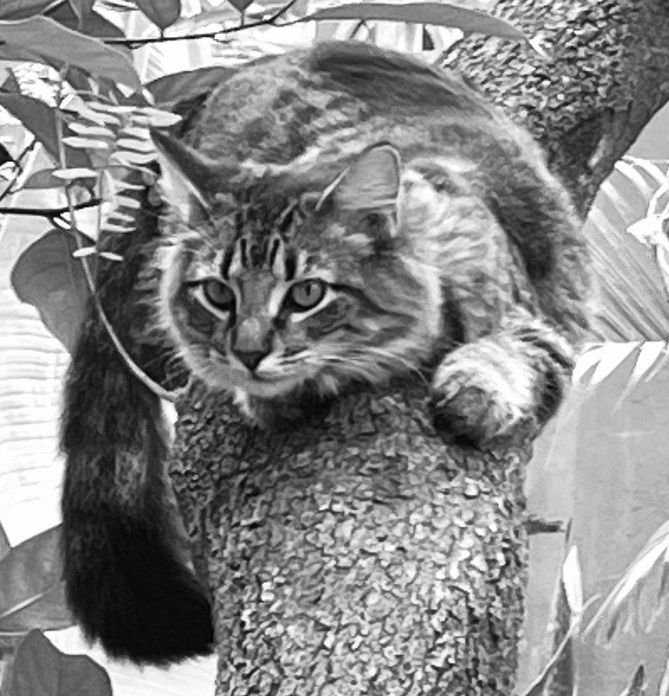 Photograph by Barbara