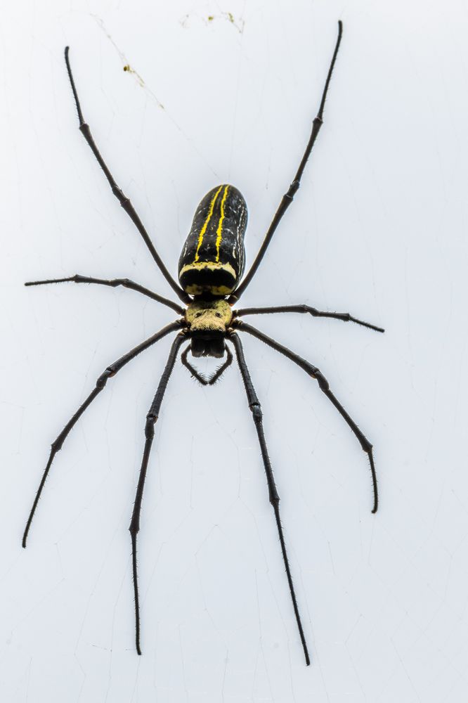 Photograph by Shalini Jain