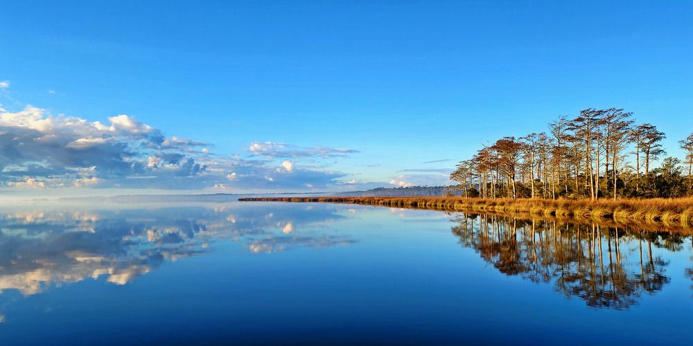 Фотография автора Jeff Cooley