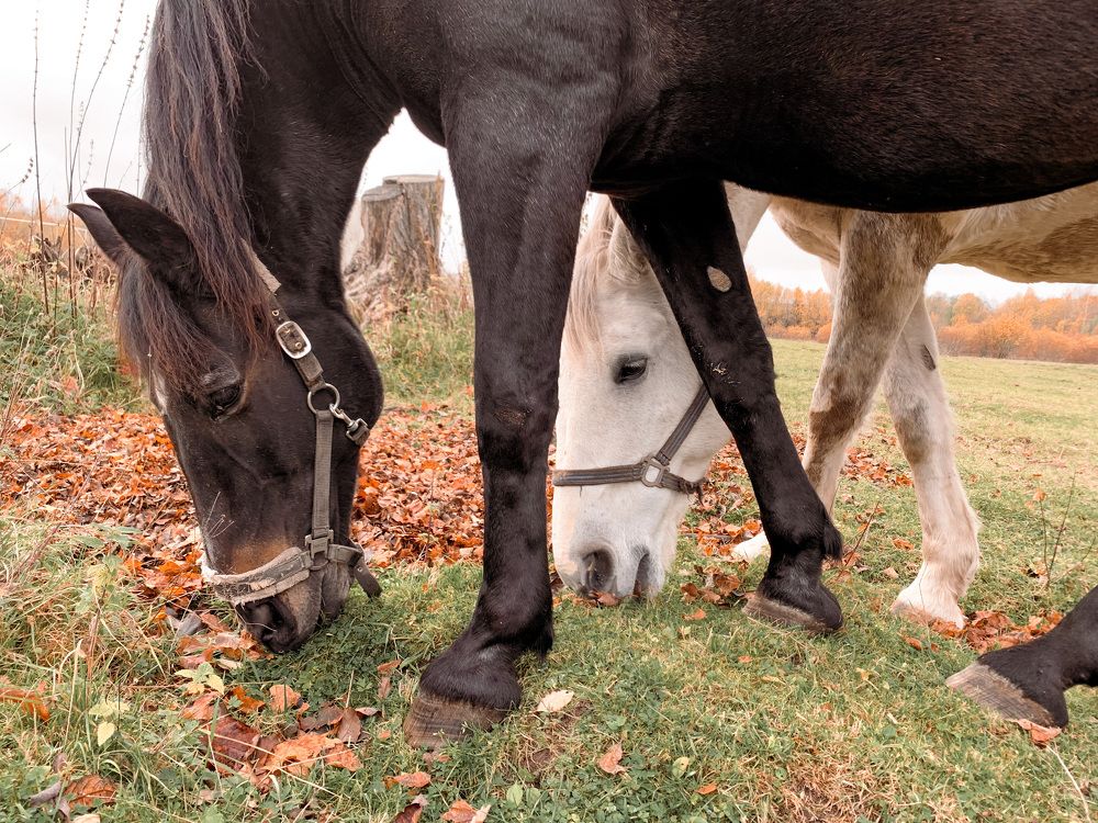 Photograph by Юлия Иванова