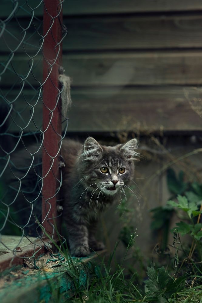 Photograph by Екатерина Калинина