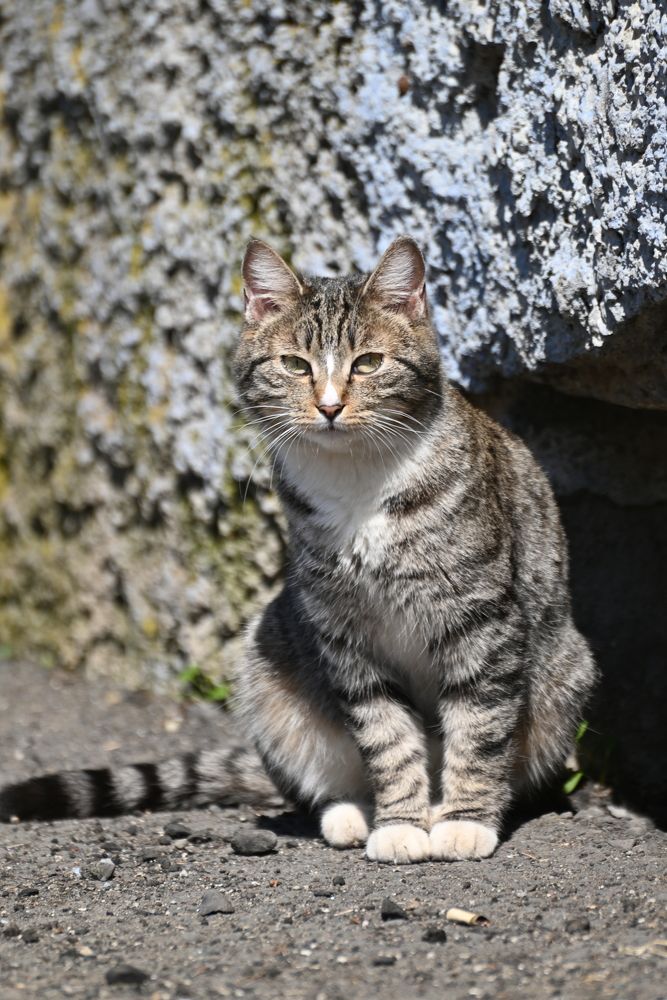 Фотография автора Егор Кондратьев