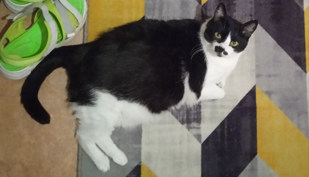 Photograph by Наталия Колемасова