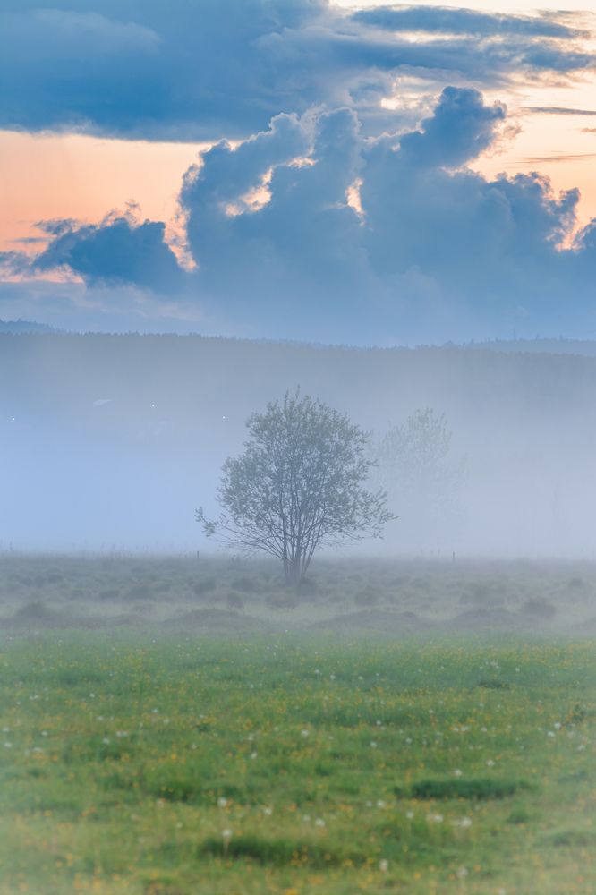 Photograph by Олег Бережных