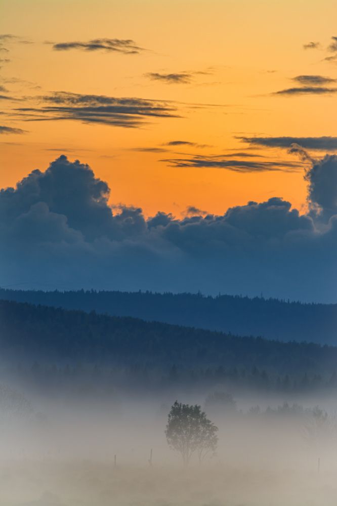 Photograph by Олег Бережных