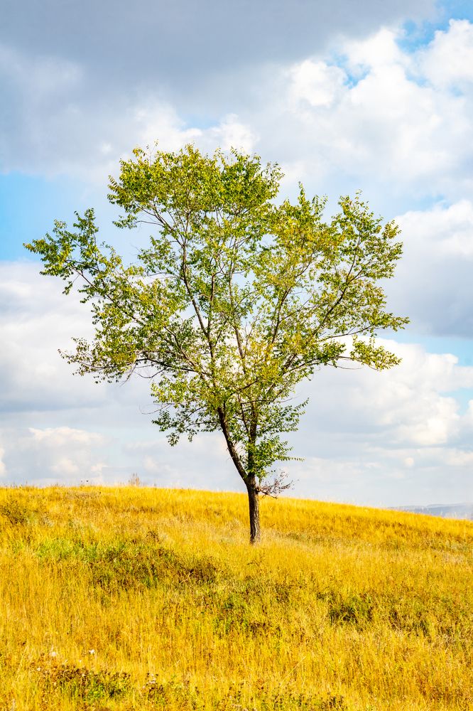 Фотография автора Виталий Гавронский