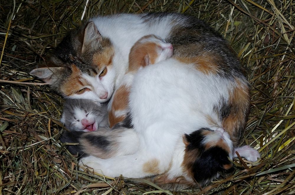 Photograph by Виктор Решетников