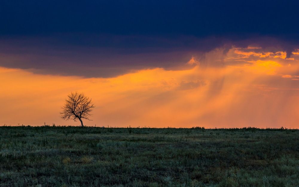 Photograph by Владимир Акиньшин