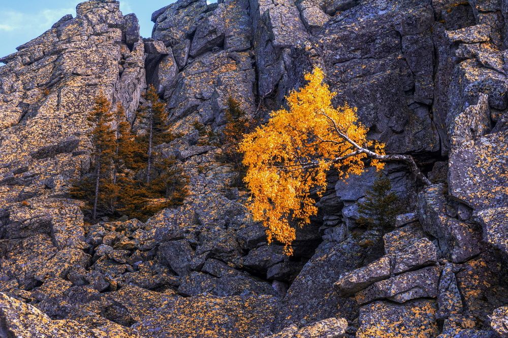Photograph by Владимир Акиньшин