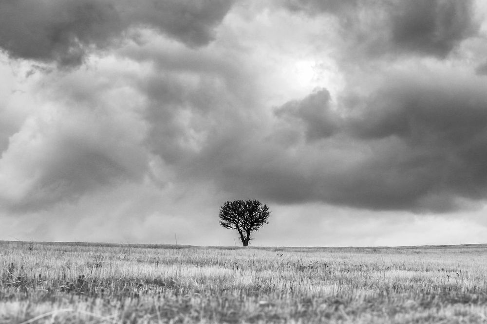 Photograph by Bavehie Farbod