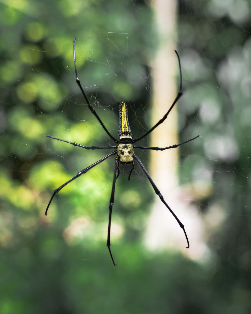 Photograph by Linkanathan Muthukumar