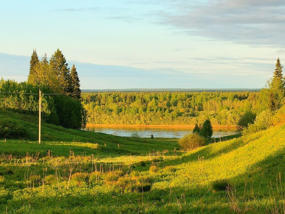 Photo #10691548