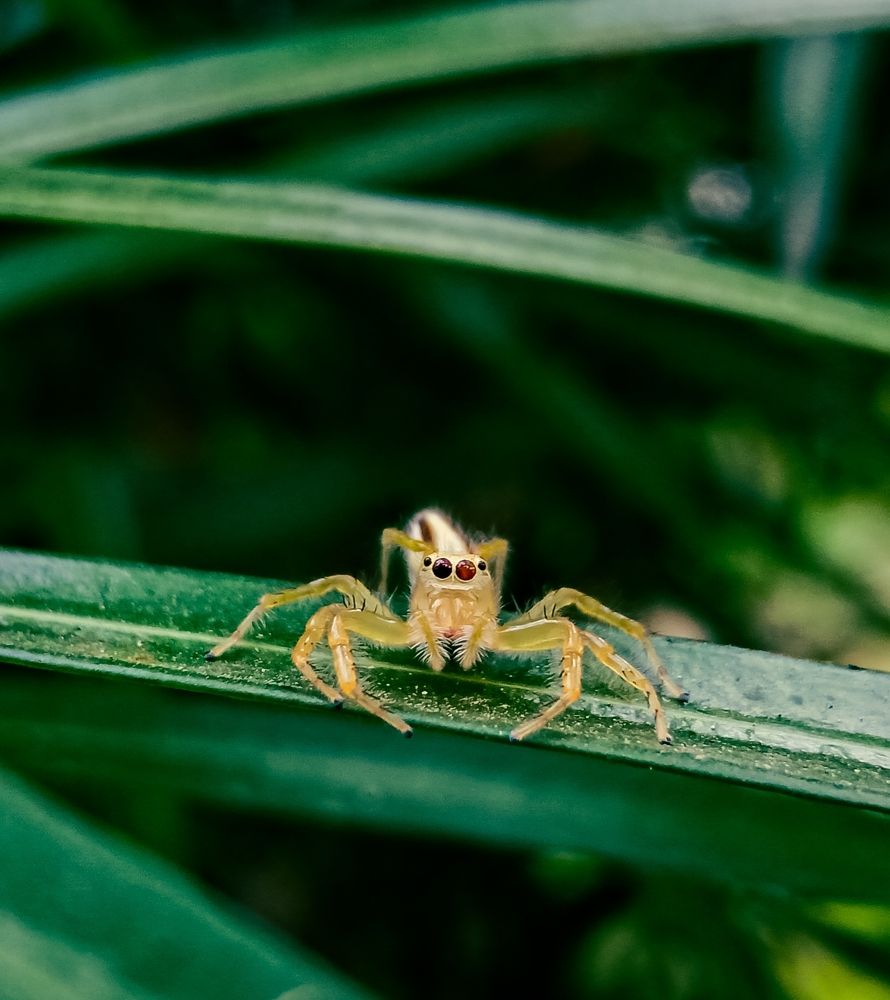 Photograph by Souvik Bhattacharyya