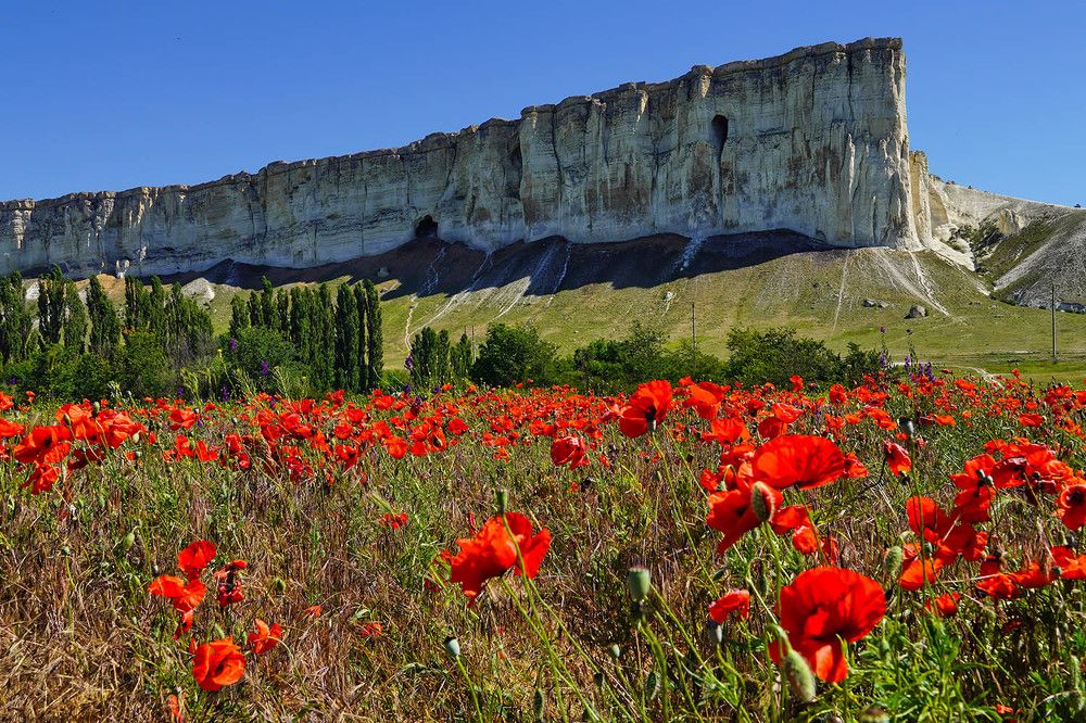 Photograph by Михаил Баевский