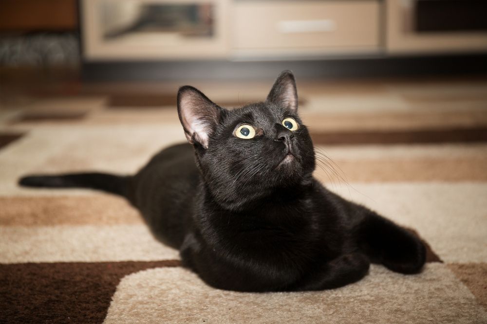 Photograph by Анжелика Соловьева