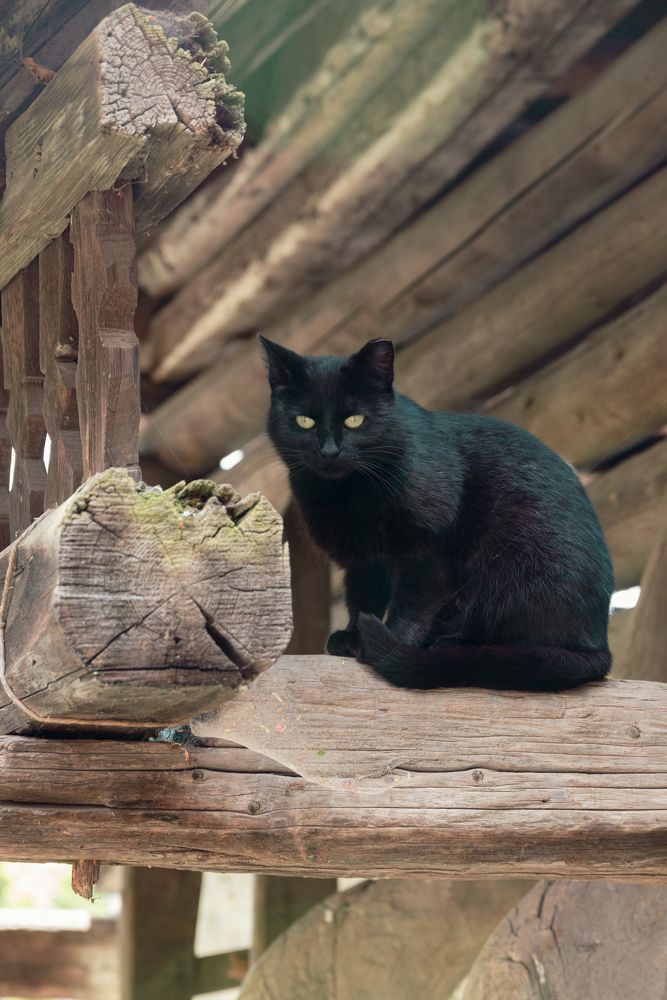 Photograph by Nataly Kiru