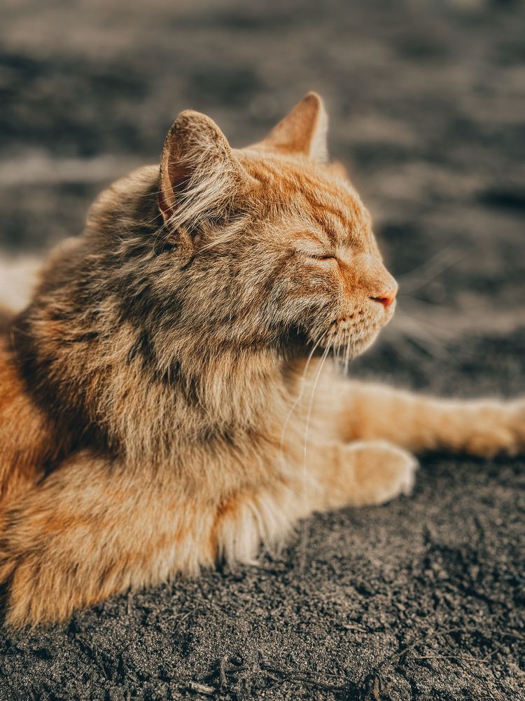 Photograph by  Ирина