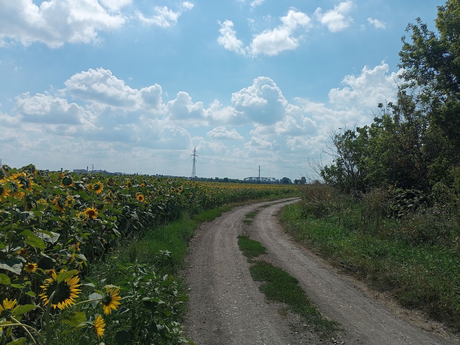 Photo #10691728