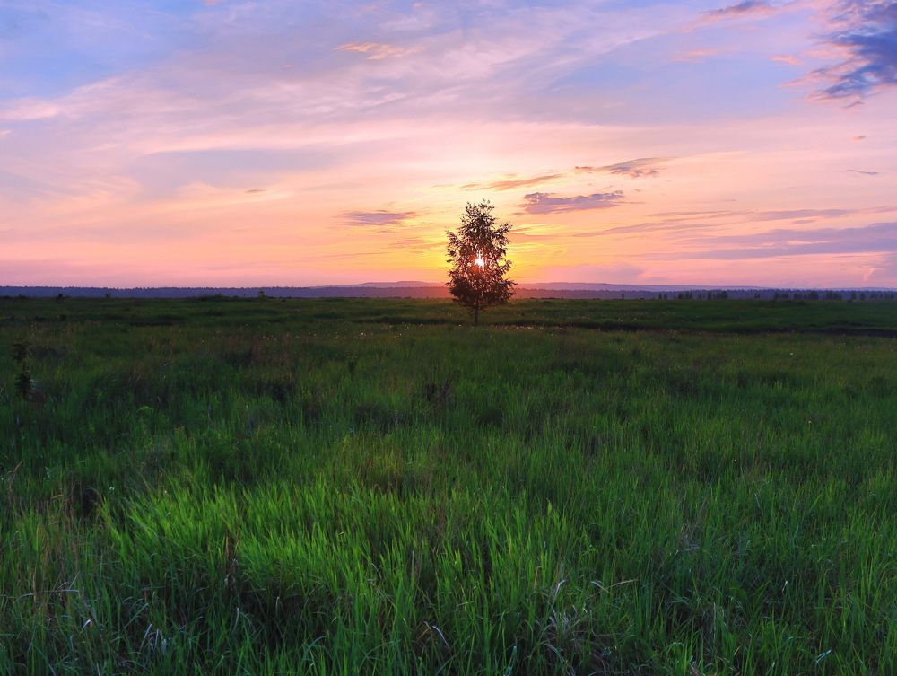 Photograph by Серёга Ануфриев