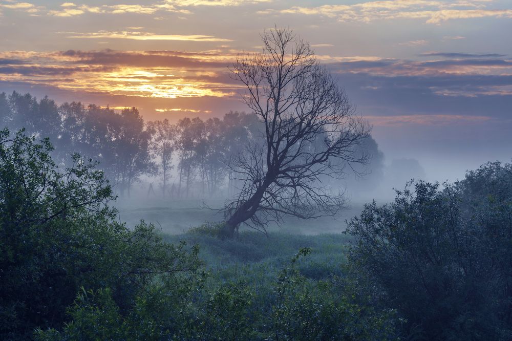 Photograph by Добродий Михаил