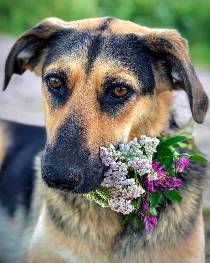 Photograph by Светлана Богомолова