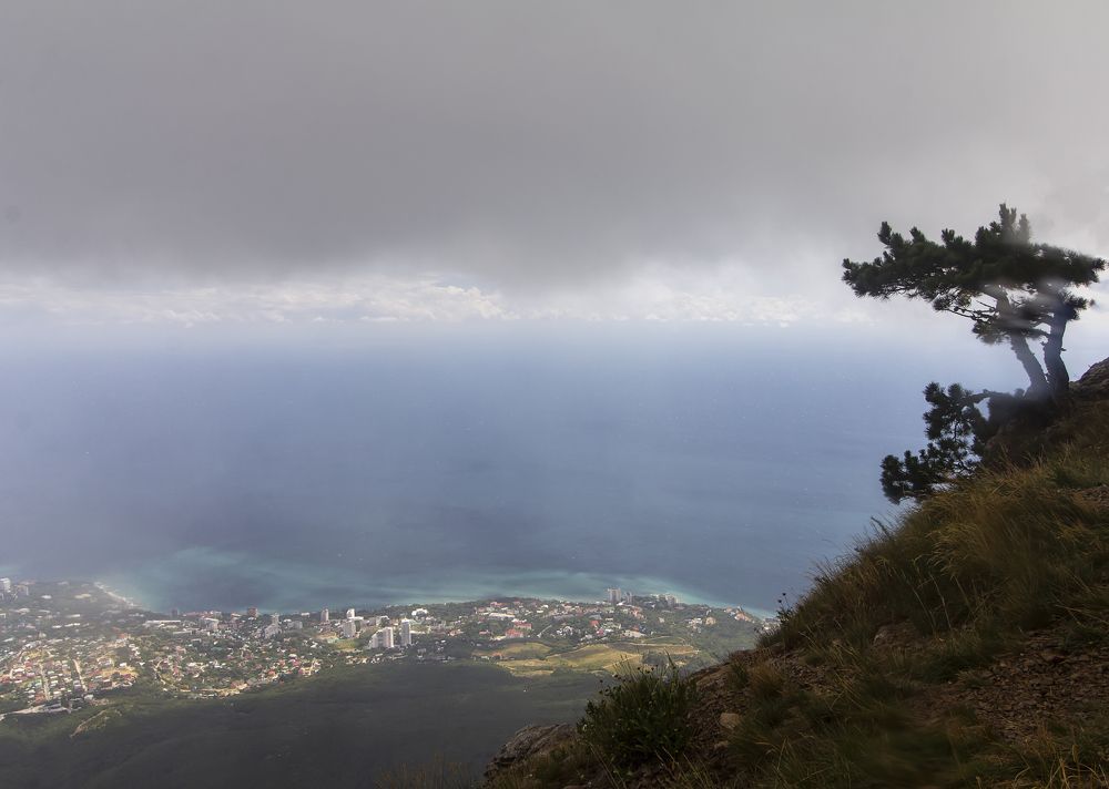 Photograph by Tatyana Fedenkova