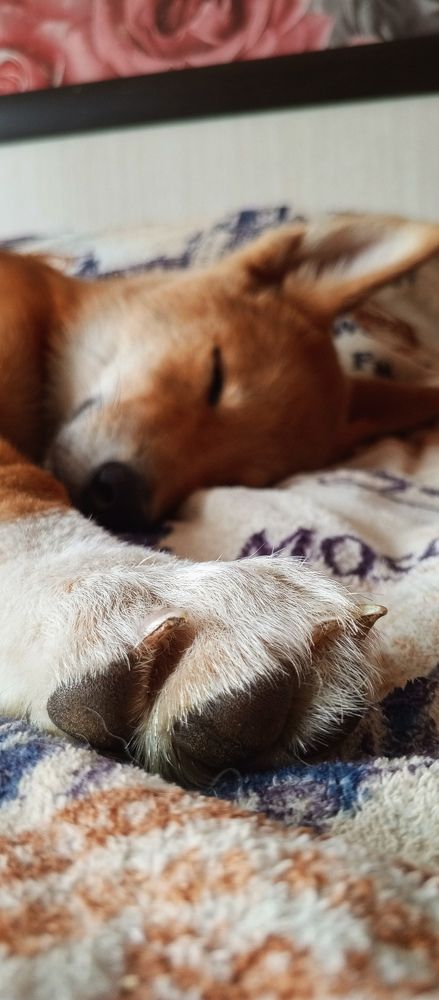 Photograph by Ольга Серова