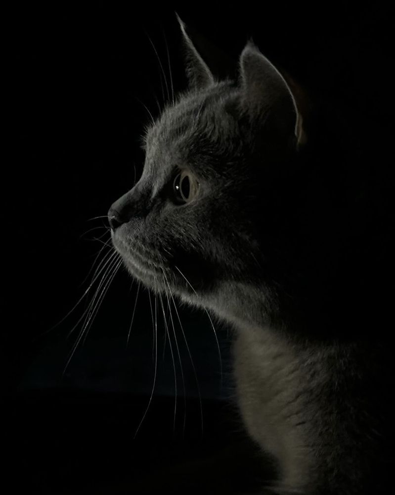 Photograph by 
