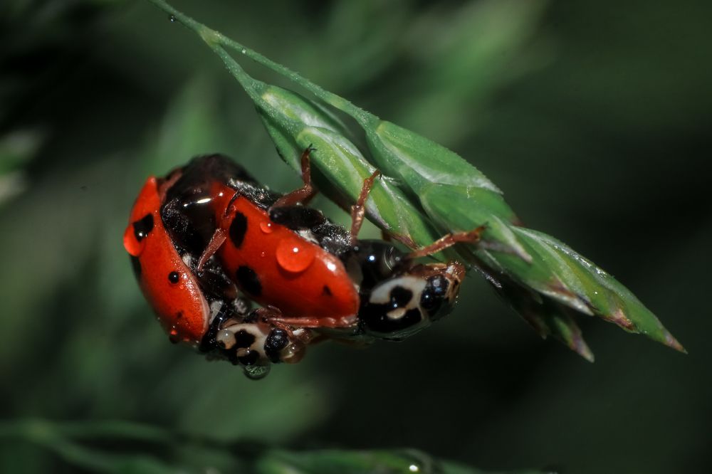 Фотография автора Васильев Игорь
