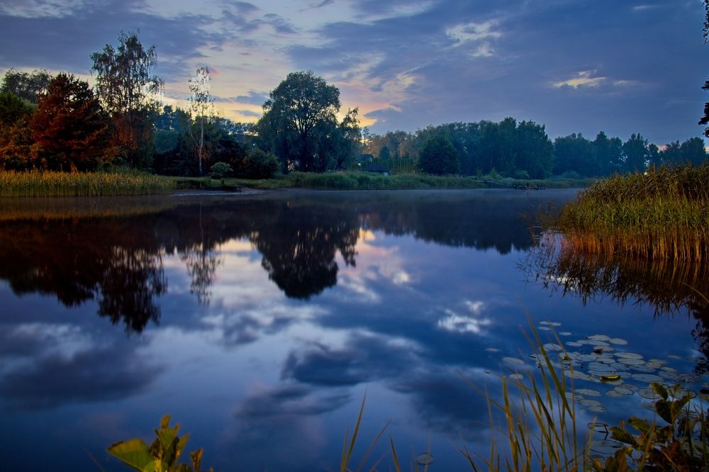 Фотография автора Vladimir Chu