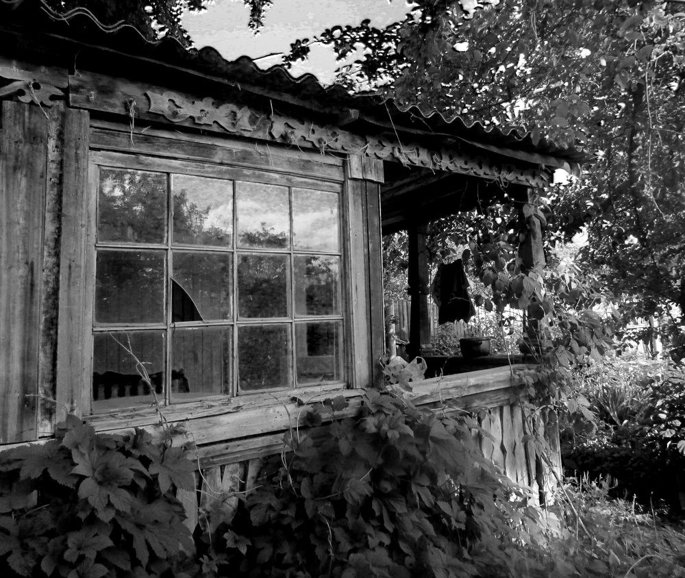 Photograph by Анастасия Пухова