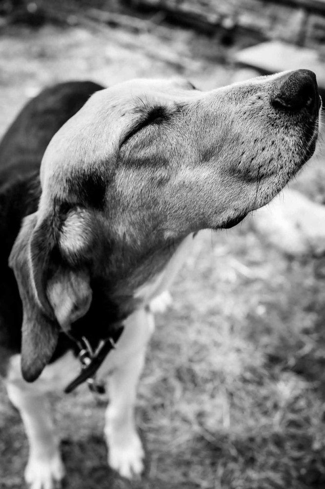 Photograph by Marina Iuldasheva