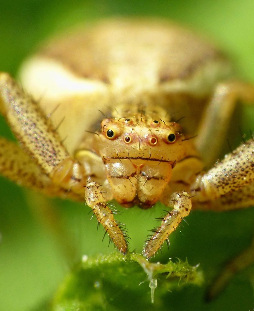 Photograph by Mahesh Varade