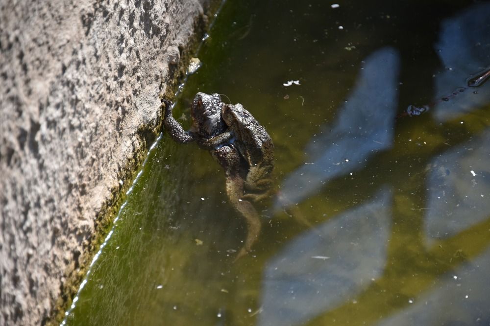 Photograph by Anna Zelinskaya