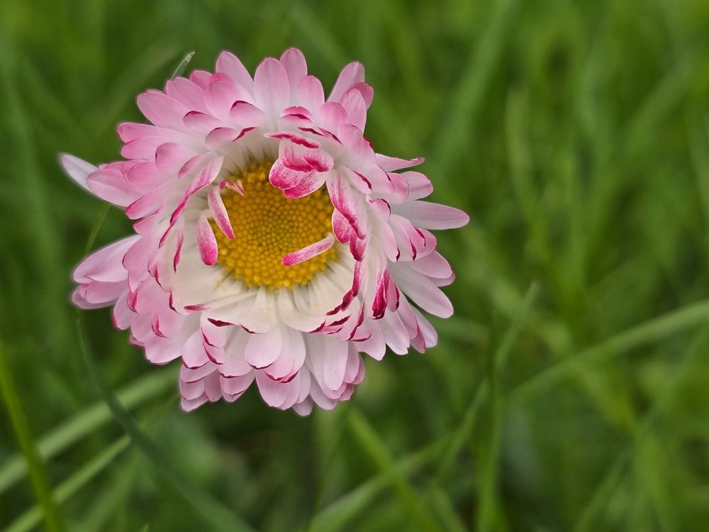 Photograph by Żółtowska Karolina